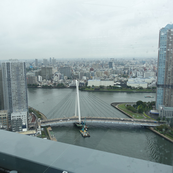 ファイル:パークシティ中央湊 ザ タワー眺望2.jpg