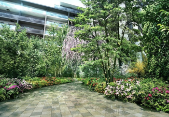 ルネ成田サングランデ　中庭完成予想CG