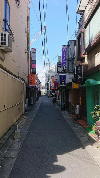 ファイル:Brillia（ブリリア） Tower 西新 周辺環境.jpg