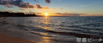 プレミアムコート金武屋嘉　屋嘉ビーチ