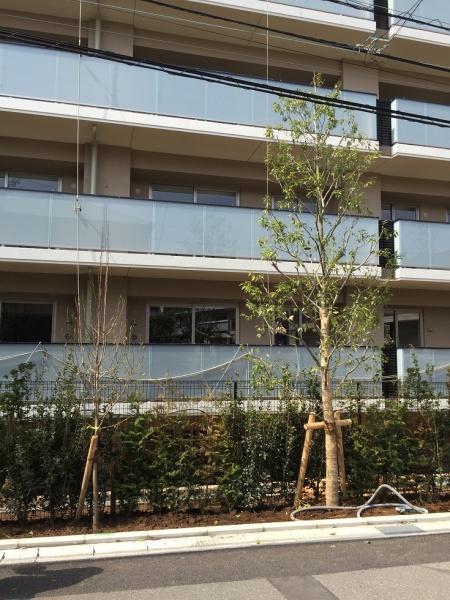 ファイル:オハナ 北習志野マンション東側3.jpg