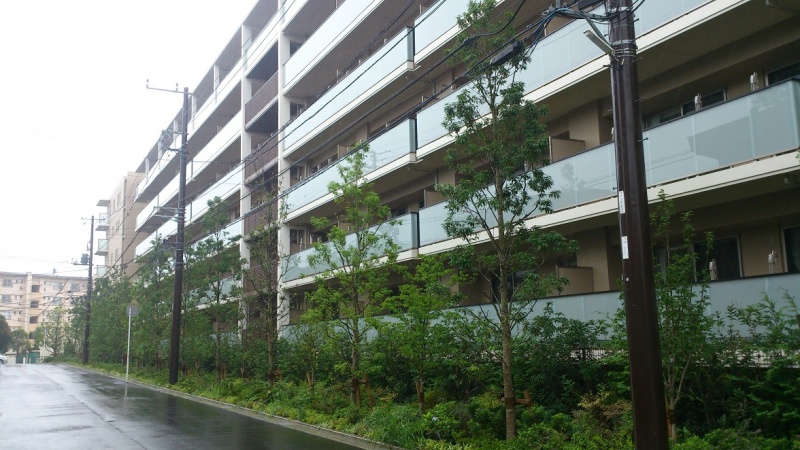 ファイル:オハナ 北習志野外観（2016-07-21）.jpg