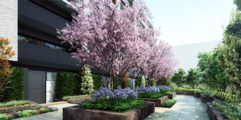 バンベール草加氷川町 オーナーズテラスCG