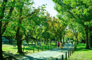 ジオ南砂町　南砂三丁目公園 2