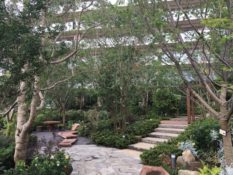 ファイル:オハナ 北習志野中庭１.jpg