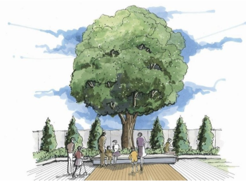 （仮称）MMプロジェクト　シンボルツリーを中心にコミュニティの場完成予想イラスト