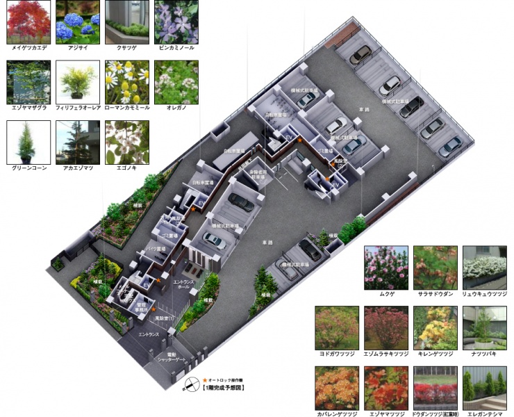 ファイル:Public img02.jpg