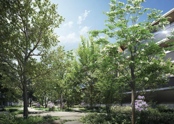 バウス久我山　中庭完成予想図