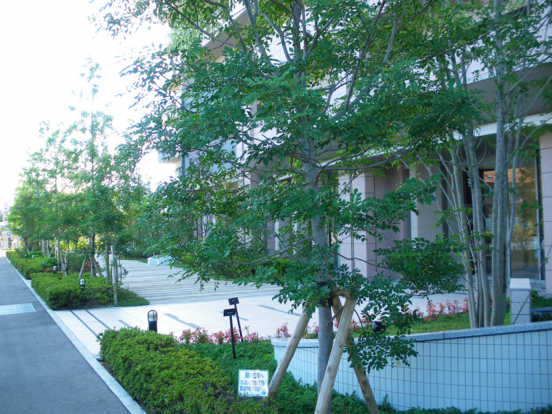 ファイル:画像 313.jpg